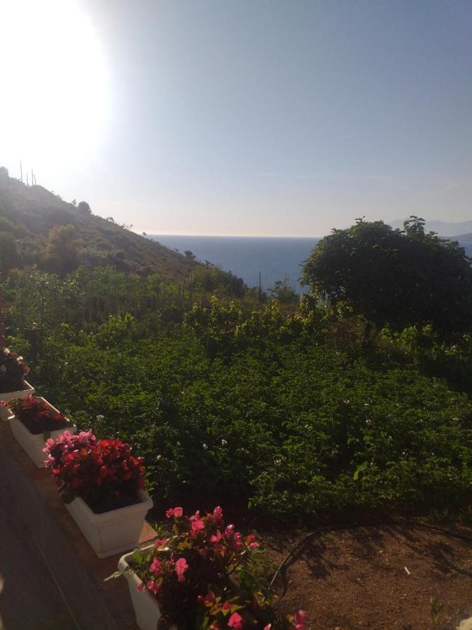 Grand Seaview Apartments Ksamil Zewnętrze zdjęcie
